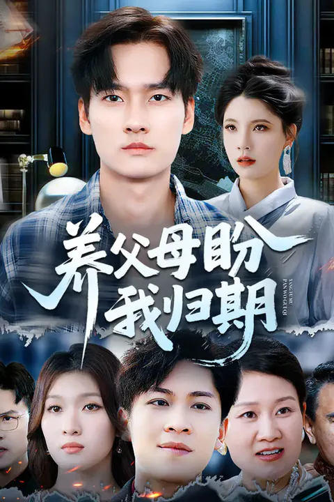 《养父母盼我归期》海报
