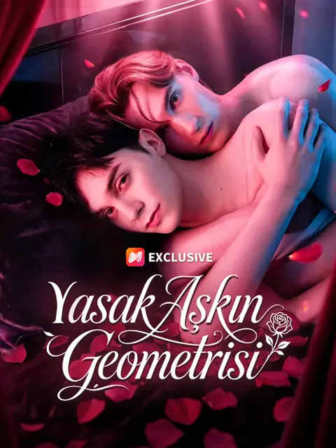 Yasak Aşkın Geometrisi afişi