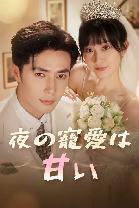 夜の寵愛は甘いのポスター
