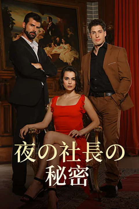 夜の社長の秘密のポスター