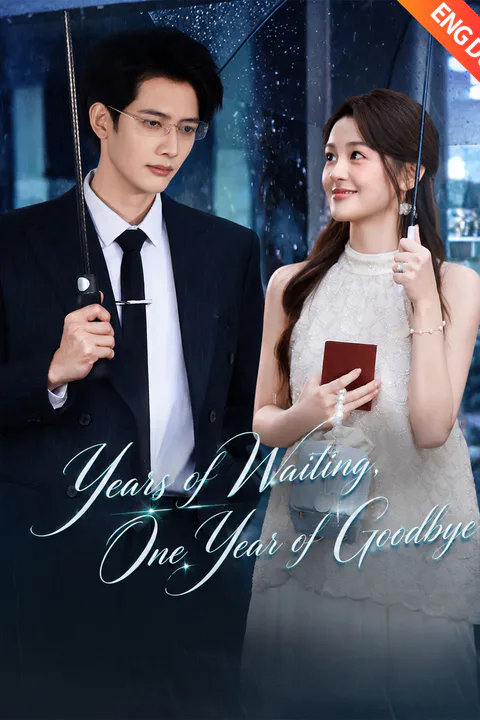 (Dubbed) Years of Waiting, One Year of Goodbye poster
