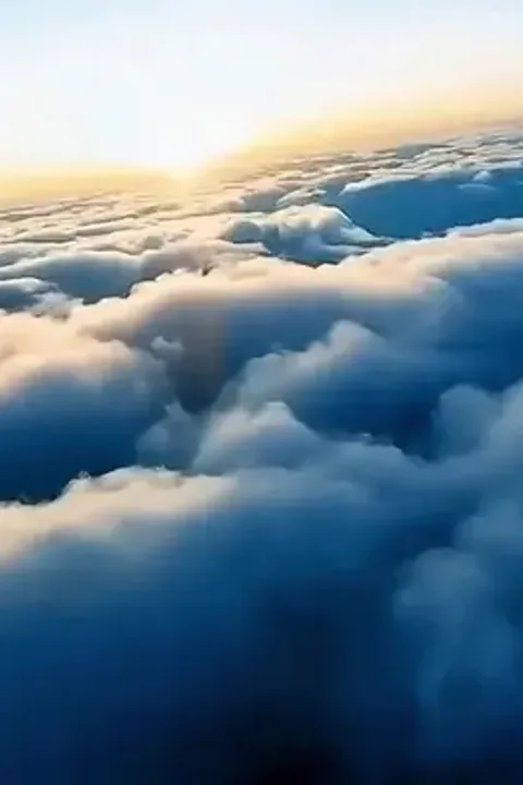 Yedi ağabeyin şanslı koi kızı afişi
