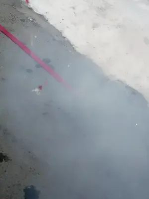 Yeni Yıl Buluşması: Aileye Şükran afişi