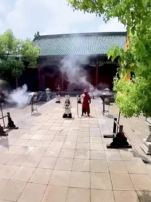 Yeniden Doğan Prensesin İntikamı afişi