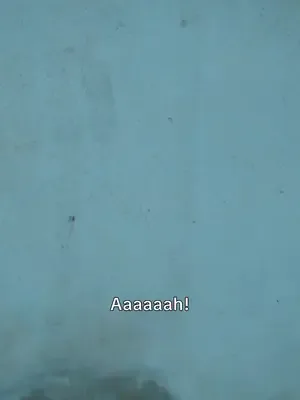 Yeniden Doğan Şarkıcı afişi