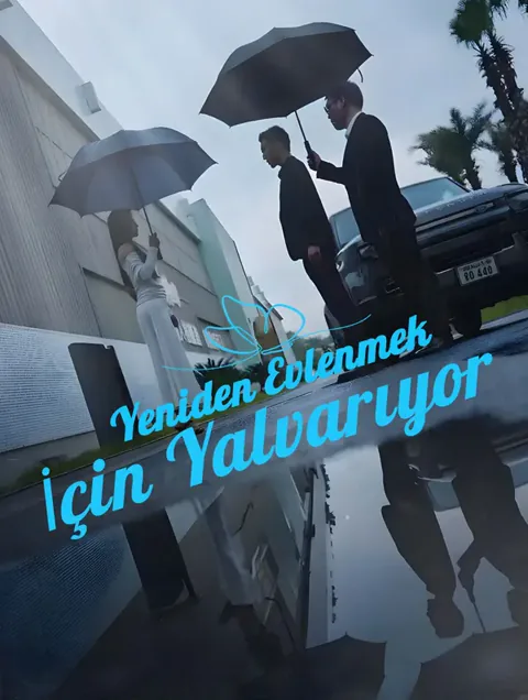 Yeniden Evlenmek İçin Yalvarıyor afişi