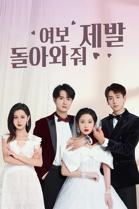 여보, 제발 돌아와 줘 포스터