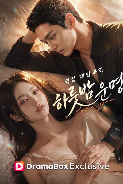 옆집 재벌과의 하룻밤 운명 포스터