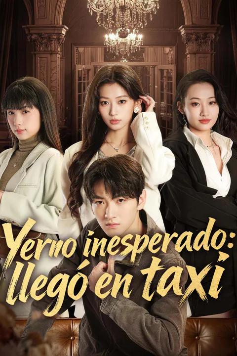 Póster de Yerno inesperado: llegó en taxi