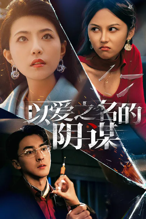 《以愛之名的陰謀》海報