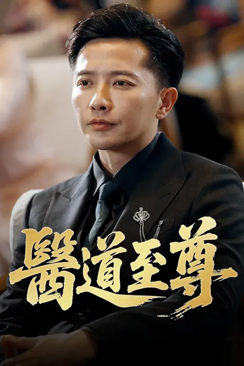 《醫道至尊》海報