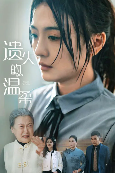 《遺失的溫柔》海報
