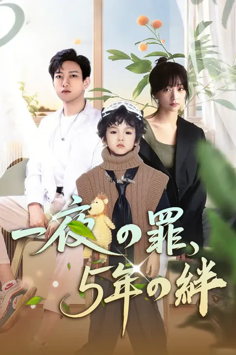 一夜の罪、5年の絆のポスター
