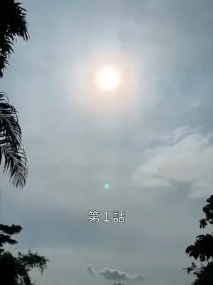 Yılan balığının iyi kaderi afişi