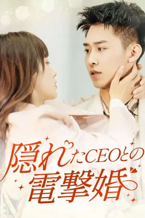 隠れたCEOとの電撃婚のポスター