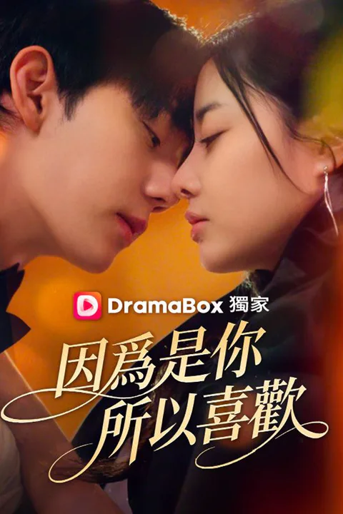 《因爲是你，所以喜歡》海報