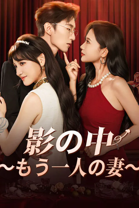 影の中～もう一人の妻～のポスター