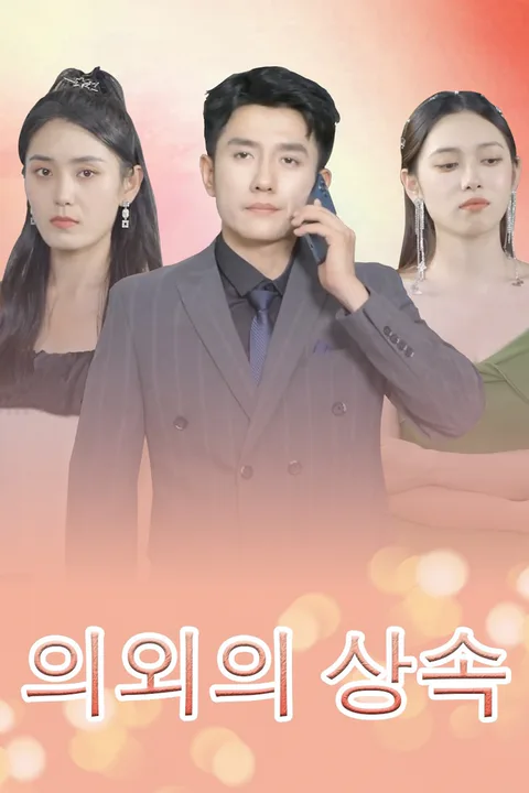 의외의 상속 포스터