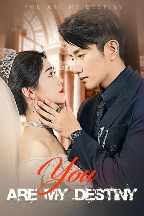 Poster von You Are My Destiny