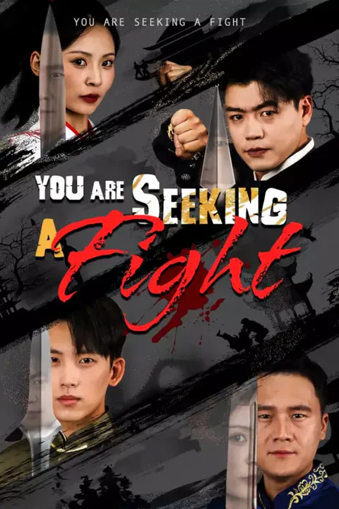 Póster de You Are Seeking a Fight