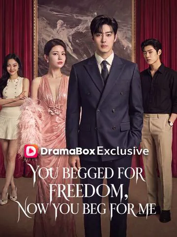 You Begged for Freedom, Now You Beg for Me poster