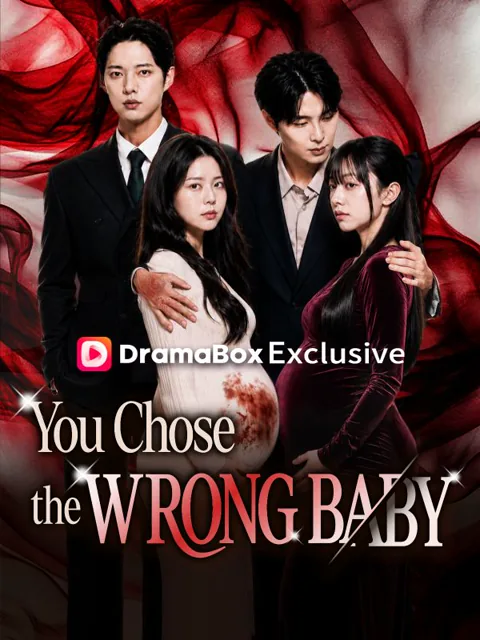 You Chose The Wrong Baby poster