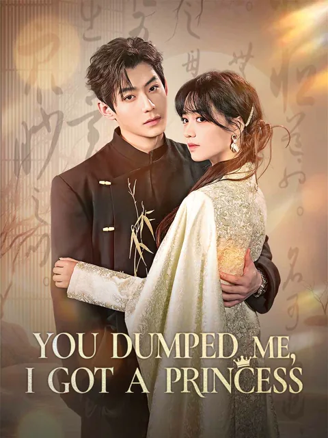 You Dumped Me, I Got a Princess poster