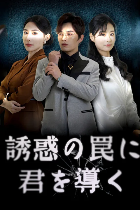 誘惑の罠に君を導くのポスター