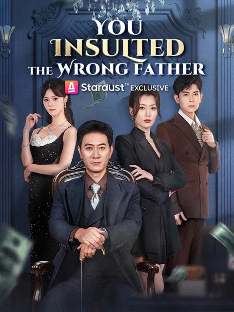 You Insulted The Wrong Father poster