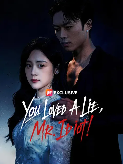 You Loved A Lie, Mr. Idiot! poster