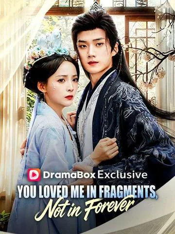 You Loved Me in Fragments, Not in Forever poster