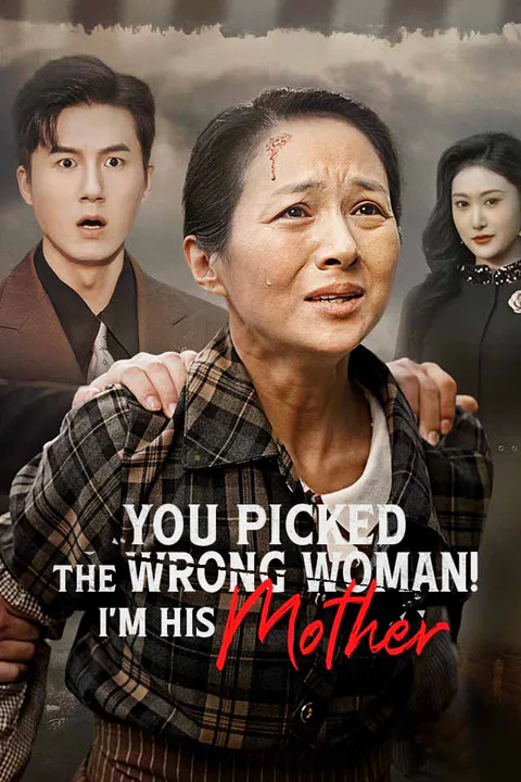 You Picked The Wrong Woman! I'm His Mother poster