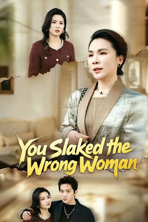 You Slapped the Wrong Woman poster