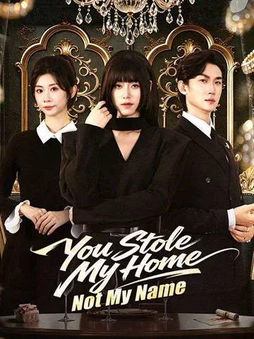 You Stole My Home, Not My Name poster