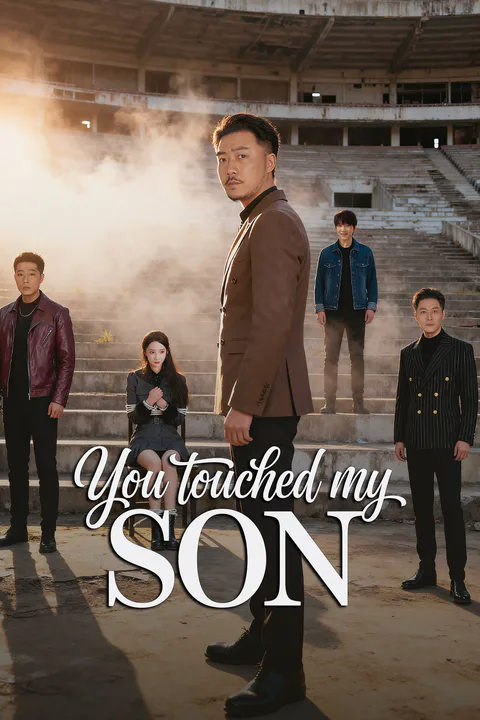 You Touched My Son poster