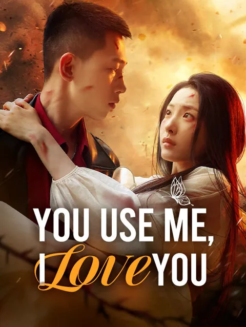 You Use Me, I Love You poster
