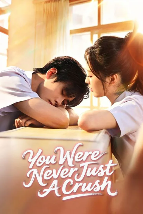 You Were Never Just a Crush poster