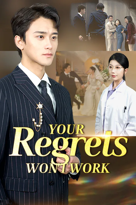 Your Regrets Won't Work poster