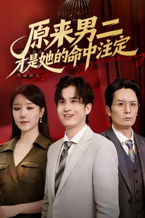 《原来男二才是她的命中注定》海报