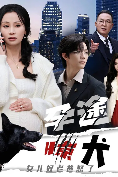 《孕途惊犬，女儿奴老爸怒了》海报