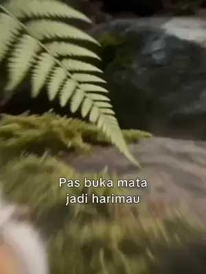 Yutan kaplan tanrıya dönüşüyor afişi