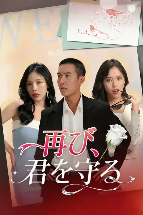 再び、君を守るのポスター