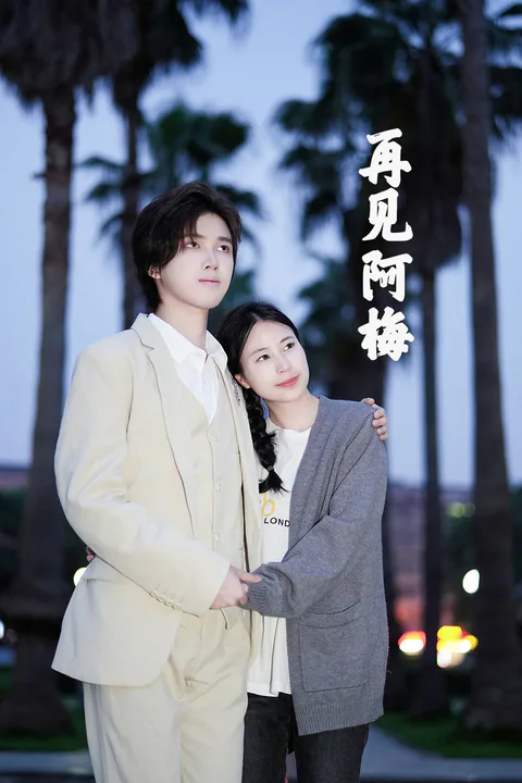 《再见阿梅》海报