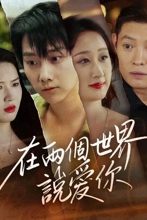 《在兩個世界說愛你》海報