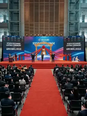 Zaman yolculuğu: Köylü pirinç kazanıyor afişi