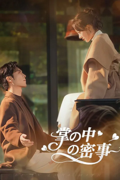掌の中の密事のポスター