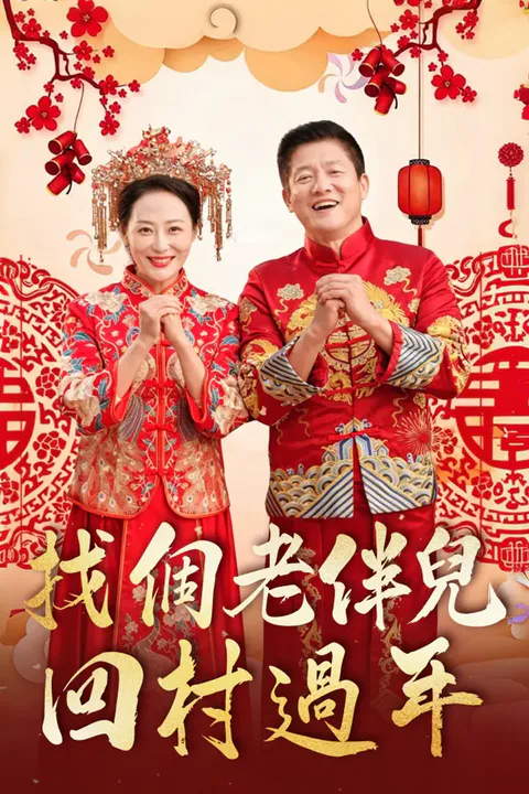 《找個老伴兒回村過年》海報