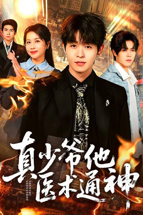 《真少爷他医术通神》海报