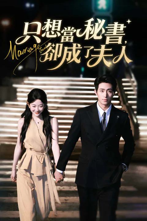 《只想當秘書，卻成了夫人》海報