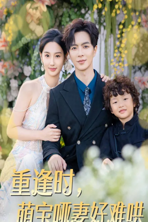 《重逢時，萌寶啞妻好難哄》海報